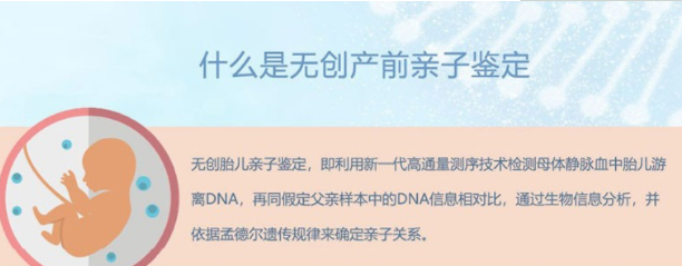 玉树父亲与胎儿要如何办理DNA亲子鉴定,玉树怀孕亲子鉴定结果会不会有问题