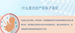 玉树父亲与胎儿要如何办理DNA亲子鉴定（预约咨询），玉树怀孕亲子鉴定结果会不会有问题